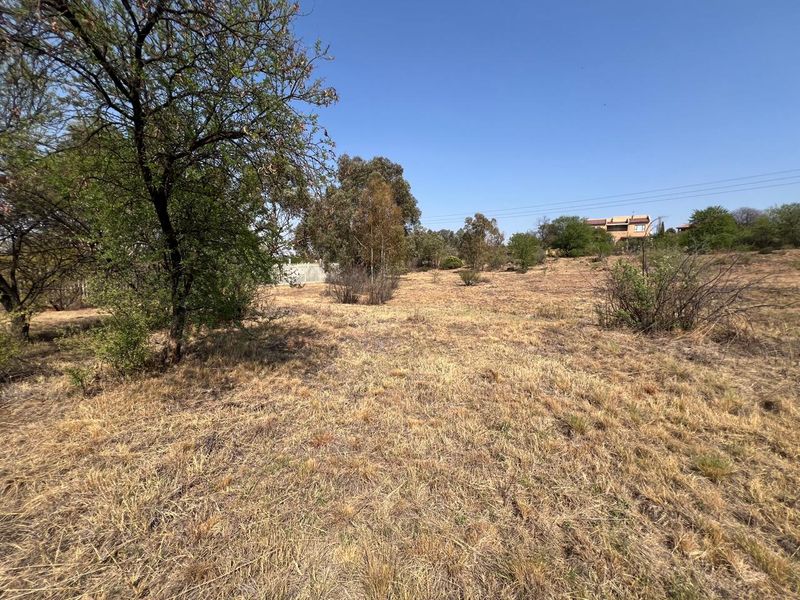 A view of a vacant residential plot featuring natural dry grass and mature trees, offering a blank canvas for future development.