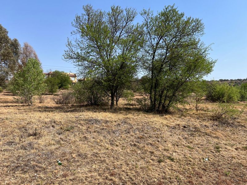 A view of the vacant residential land featuring mature trees and natural dry grass coverage.
