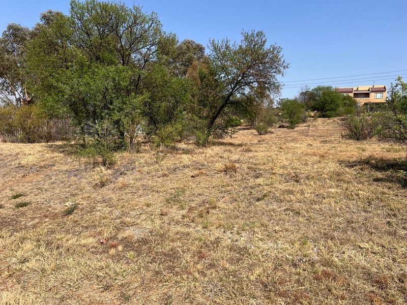 A view of a vacant residential plot featuring natural dry grass and mature trees, offering a blank canvas for future development.