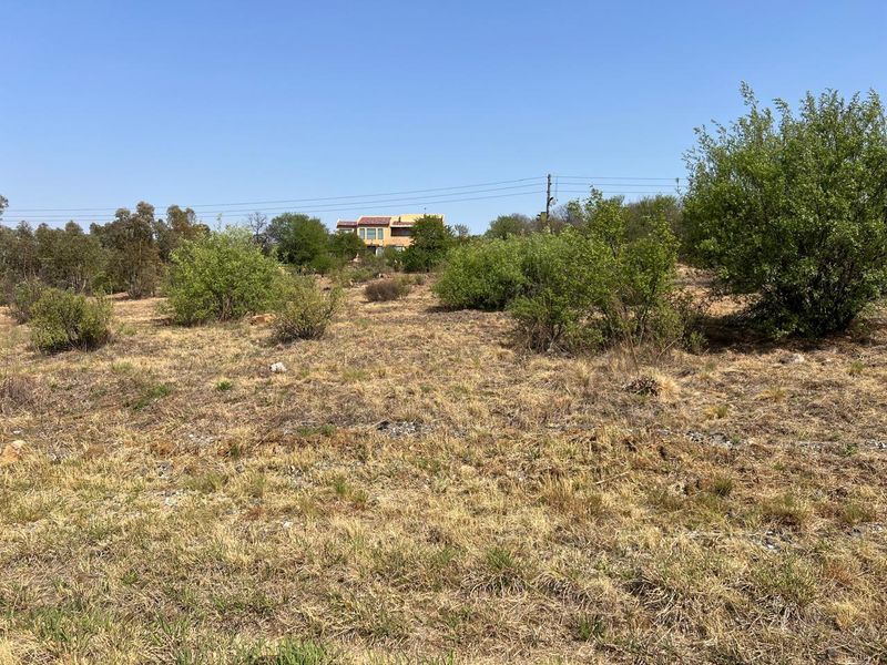A view of a vacant residential plot featuring natural dry grass and native shrubs with power lines visible in the background.