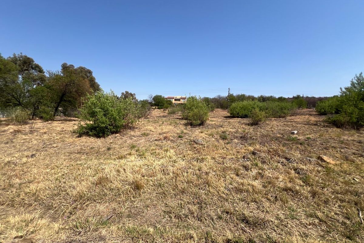 A view of the vacant residential land featuring natural dry grass and scattered indigenous shrubs under a clear blue sky.