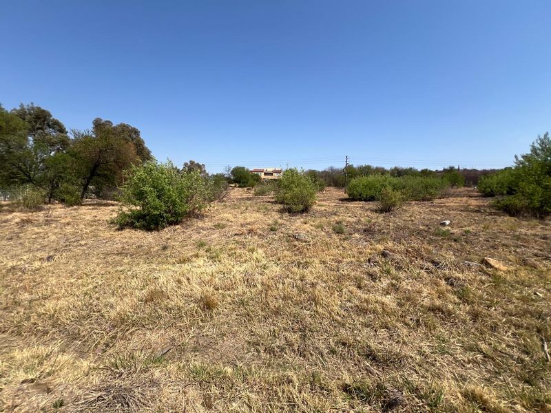 A view of the vacant residential land featuring natural dry grass and scattered indigenous shrubs under a clear blue sky.