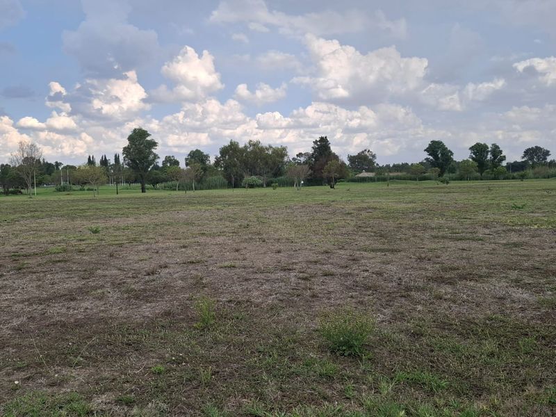 A wide, open residential land plot featuring natural grass coverage and scattered mature trees under a clear sky.
