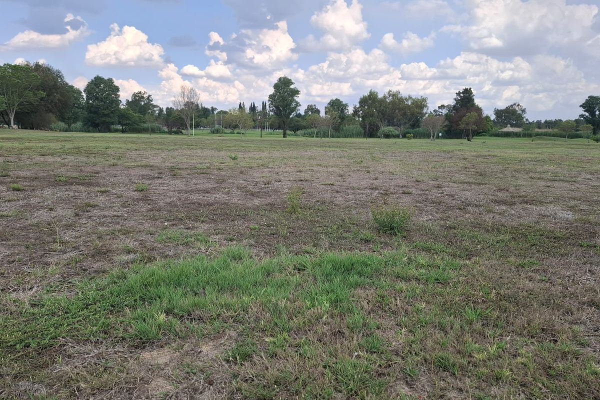 A wide, open residential plot featuring natural grassland and mature perimeter trees, offering a blank canvas for future development.