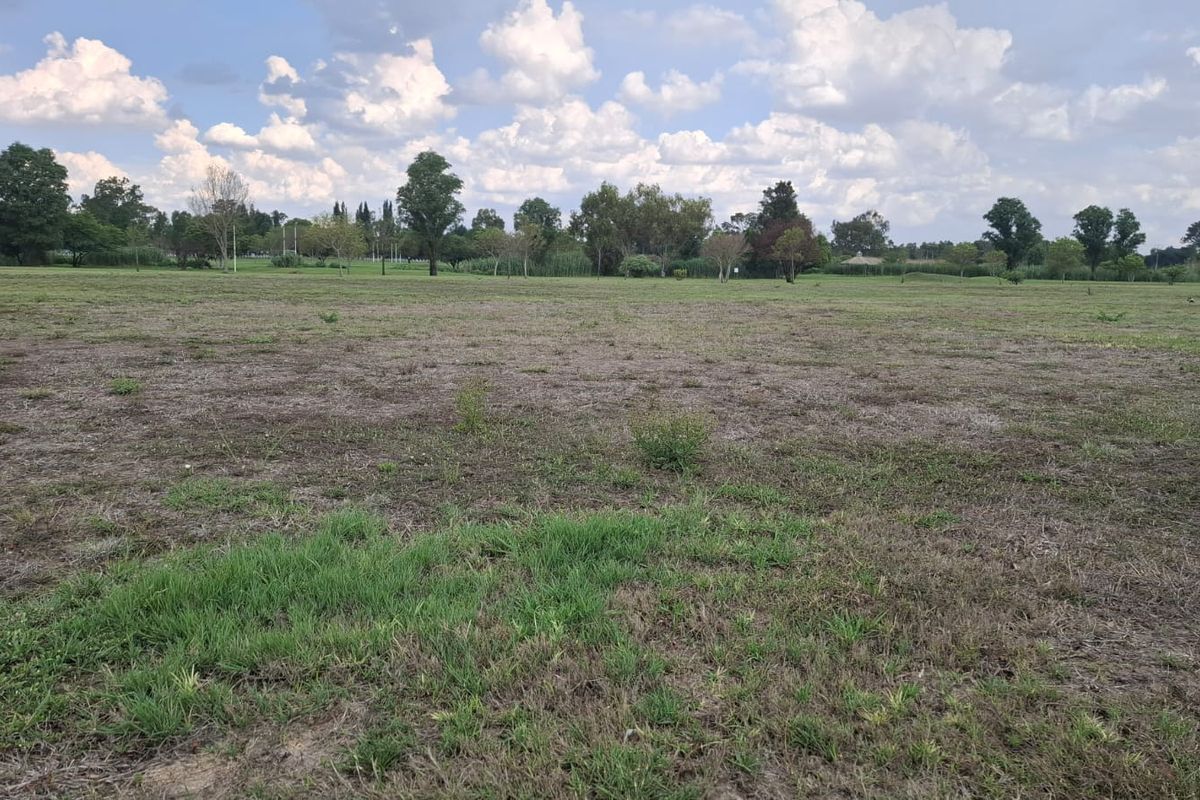 A wide, open residential vacant land plot featuring natural grass cover and mature trees in the background.