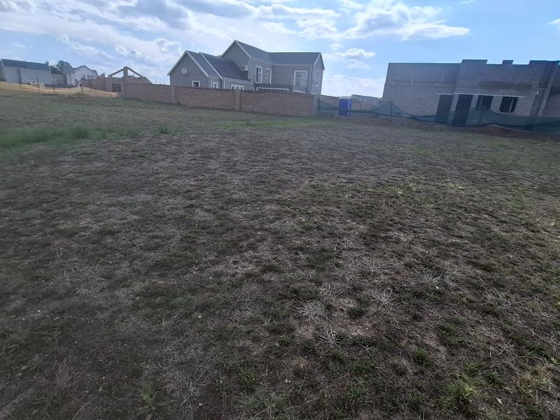 A vacant residential plot of land featuring natural grass cover and surrounding boundary walls in a developing neighborhood.