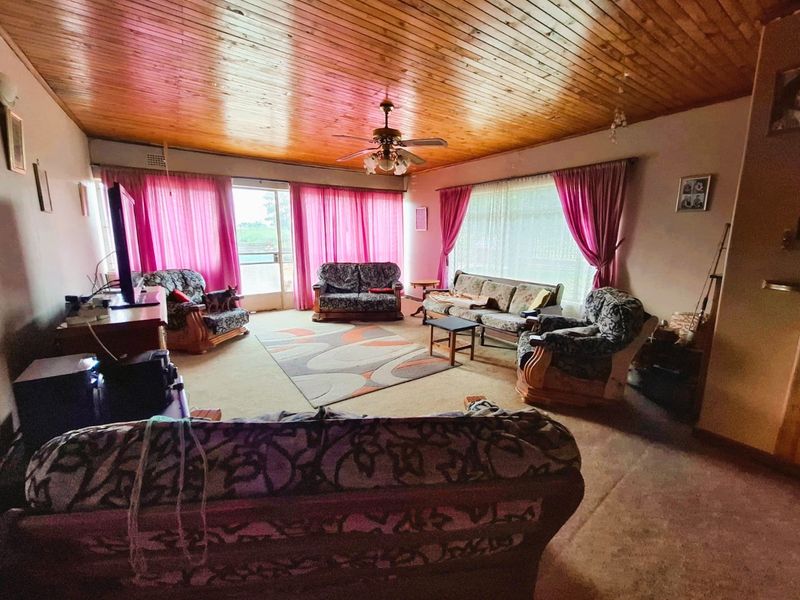 Spacious living room featuring a warm timber tongue and groove ceiling, ceiling fan, and large windows providing ample natural light.