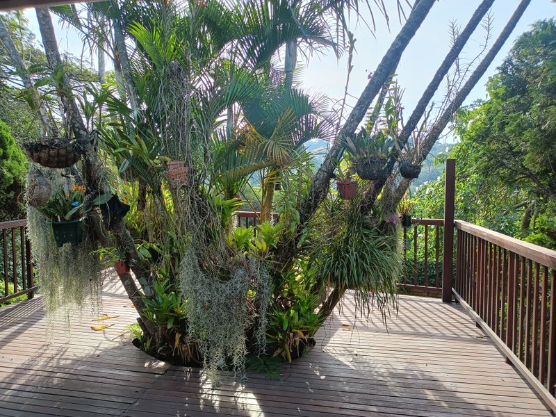 DREAM FAMILY HOME - Photo 10