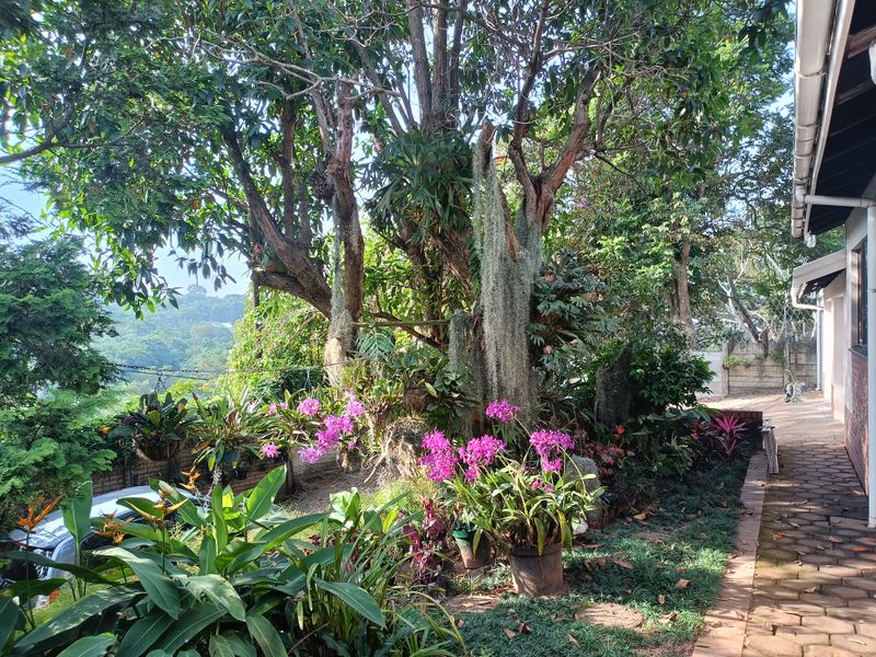 DREAM FAMILY HOME - Photo 2