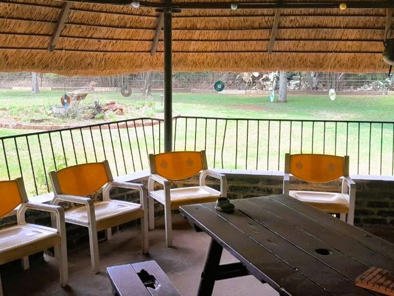Covered outdoor patio featuring a traditional thatched roof, built-in brick braai area, and metal railings overlooking the garden.
