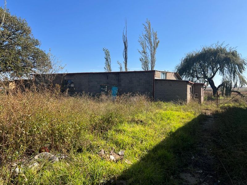Rear view of a farm building featuring brick construction and metal roofing, set within an overgrown, unmaintained rural landscape.