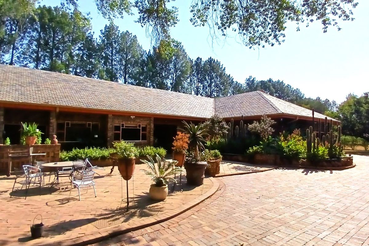Spacious rear brick-paved patio area featuring established garden beds and a large covered veranda, ideal for outdoor entertaining.