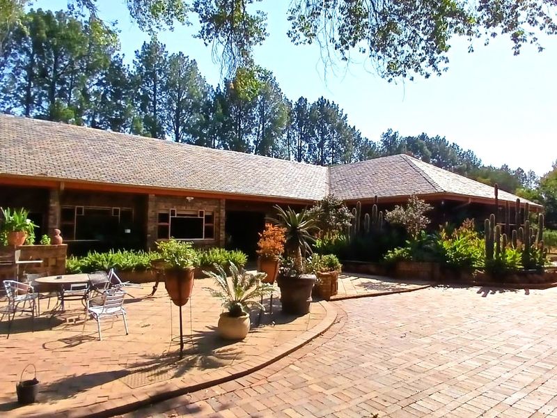 Spacious rear brick-paved patio area featuring established garden beds and a large covered veranda, ideal for outdoor entertaining.