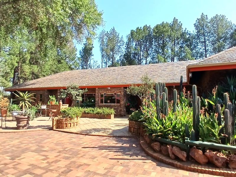 A spacious front exterior featuring a brick-paved driveway, established garden beds with cacti, and a traditional brick house with a tiled roof.
