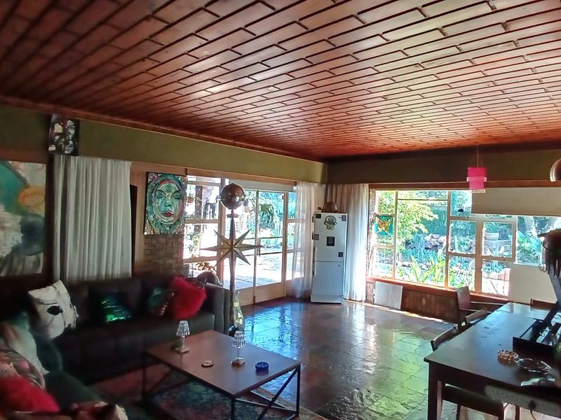Spacious open-plan living and dining area featuring a warm timber slat ceiling, slate tile flooring, and large windows providing ample natural light.