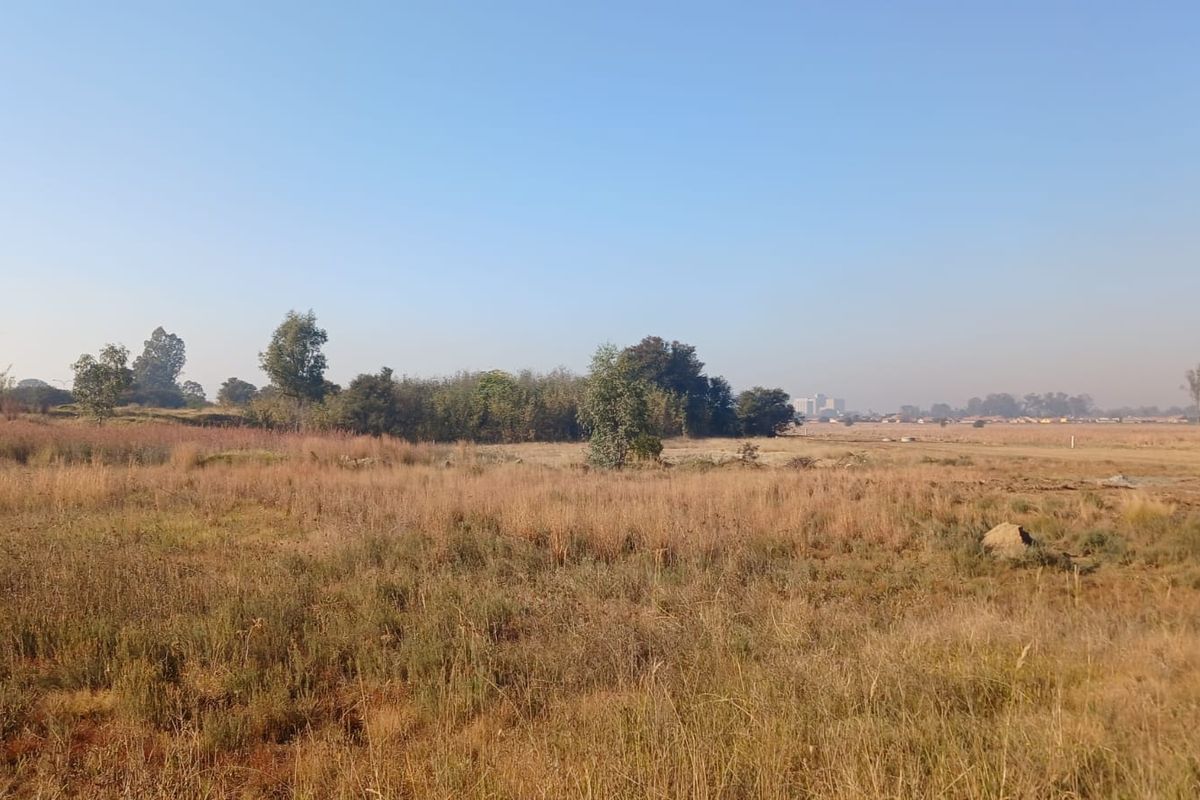 A wide-angle view of an undeveloped residential plot featuring natural grass and scattered trees under a clear sky.