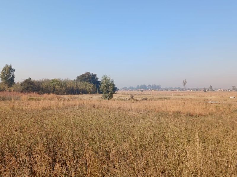 A wide-angle view of an expansive, undeveloped residential plot featuring natural dry grassland and scattered trees under a clear sky.