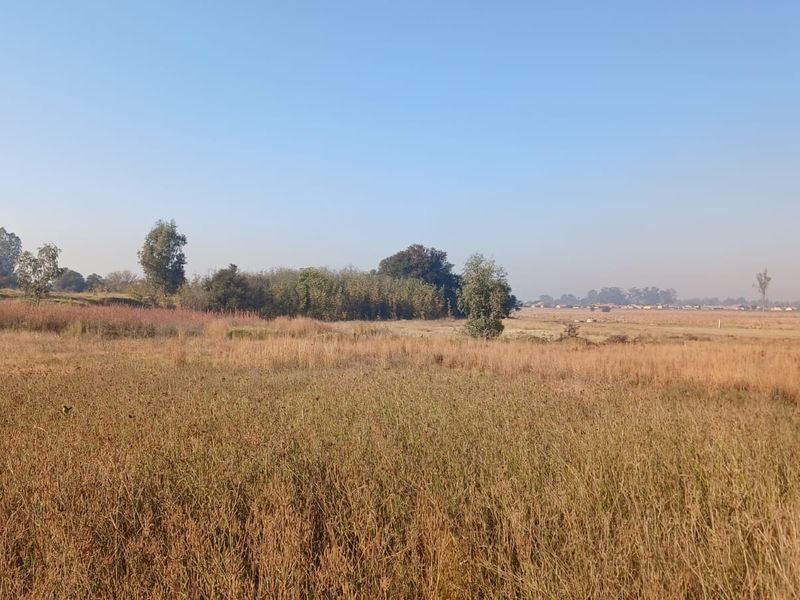 A wide-angle view of a vacant residential plot featuring natural grass and scattered trees under a clear blue sky.