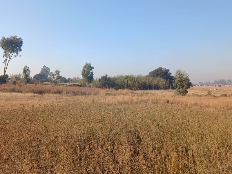A view of an undeveloped residential vacant land plot featuring natural grass and scattered trees.