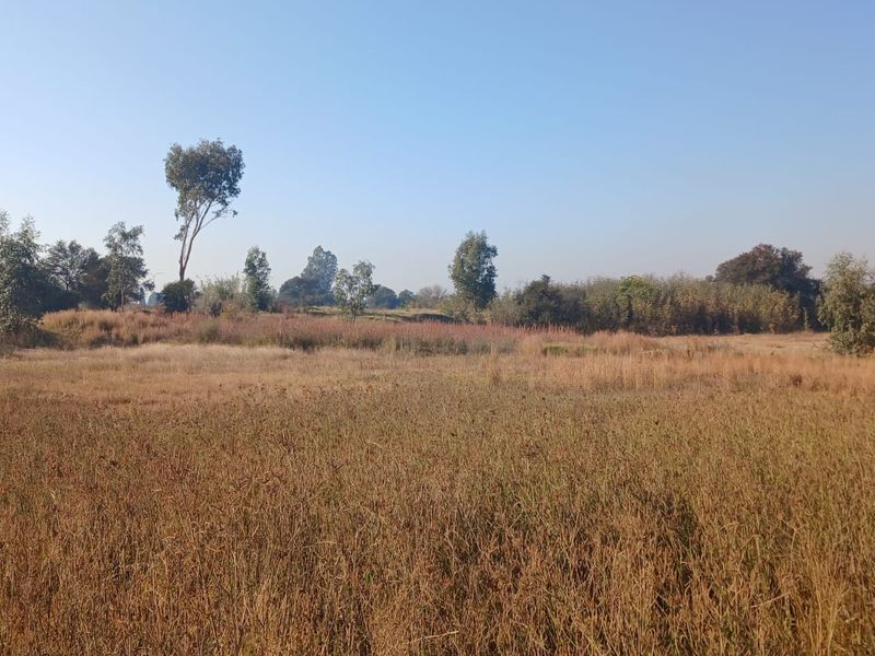 A wide-angle view of a vacant residential plot featuring natural grass and mature trees.