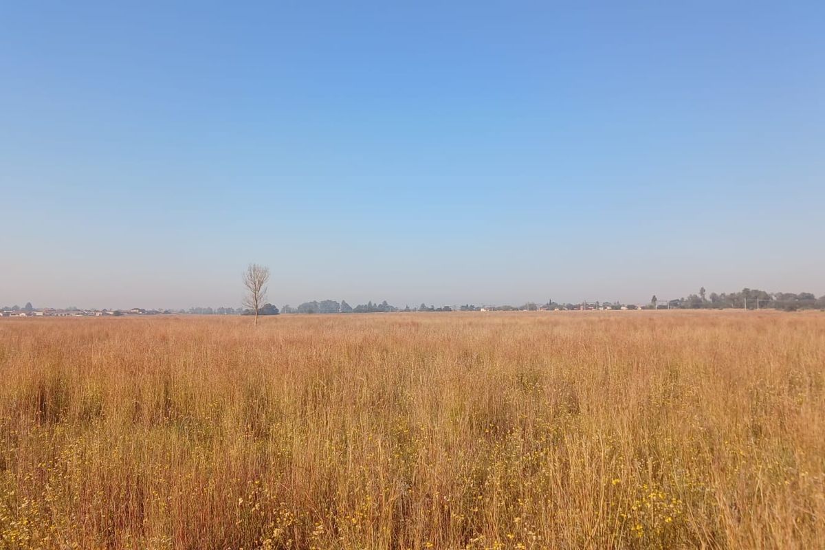 A wide-angle view of a large, undeveloped residential vacant land plot featuring natural grassland and distant horizon.