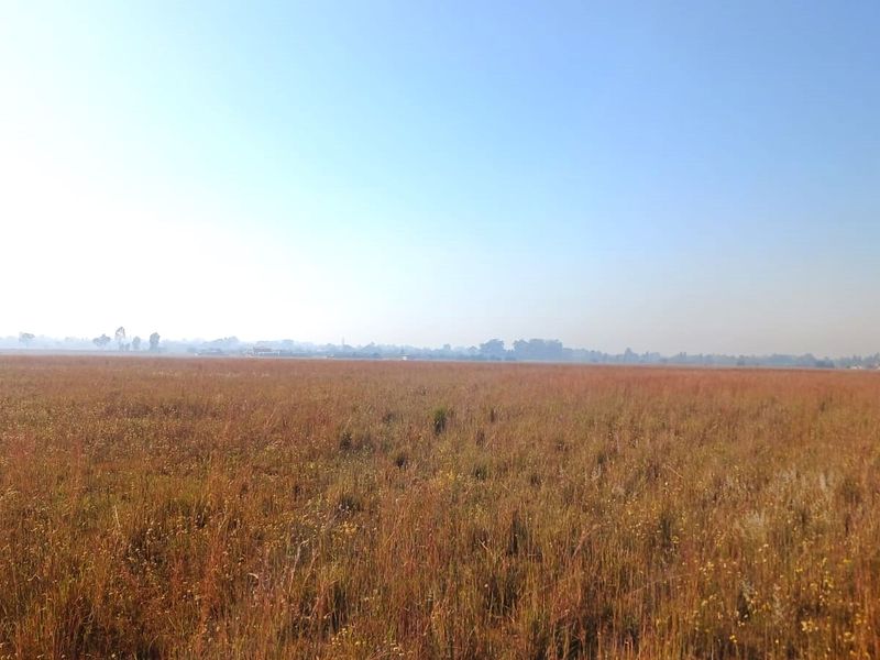 2.3 Hectare Commercial Vacant Land- Sale! - Photo 9