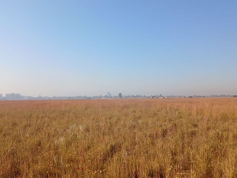 2.3 Hectare Commercial Vacant Land- Sale! - Photo 7