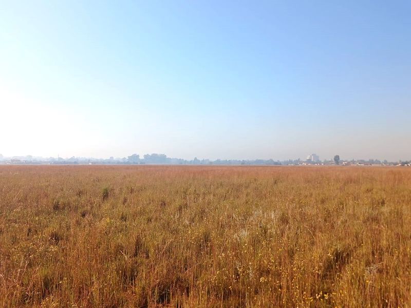 2.3 Hectare Commercial Vacant Land- Sale! - Photo 8