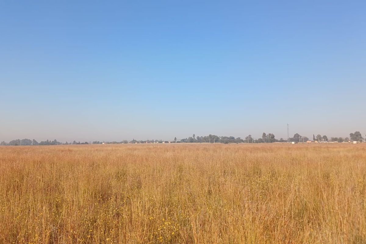 A wide-angle view of a large, undeveloped residential plot covered in dry grass under a clear blue sky.