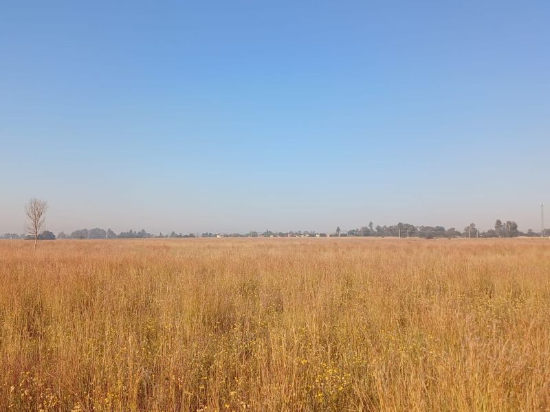 2.3 Hectare Commercial Vacant Land- Sale! - Photo 6