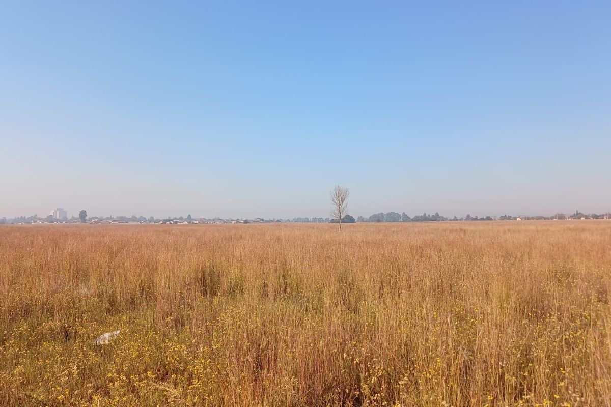 A wide-angle view of a large, undeveloped residential plot featuring natural grassland and open space.