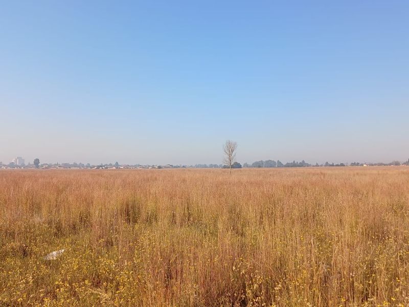 2.3 Hectare Commercial Vacant Land- Sale! - Photo 4