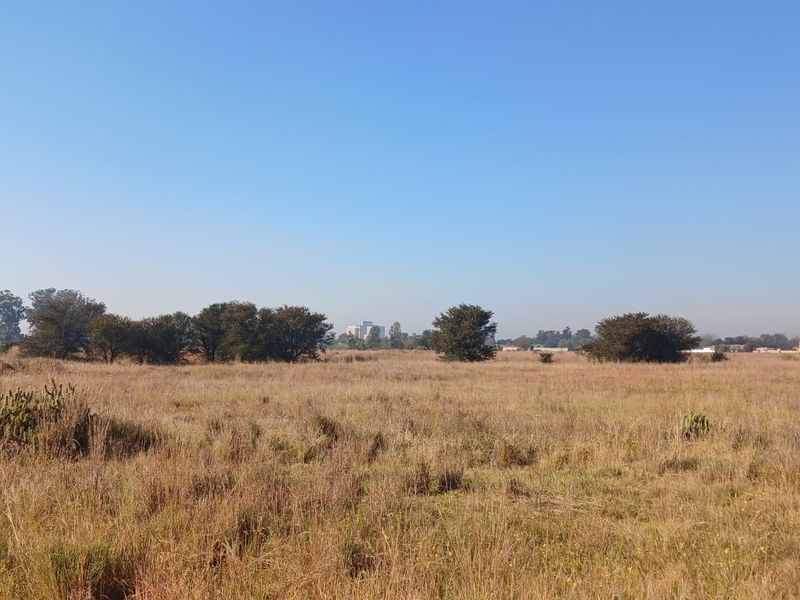 A wide-angle view of a vacant residential plot featuring natural grass and scattered trees under a clear blue sky.