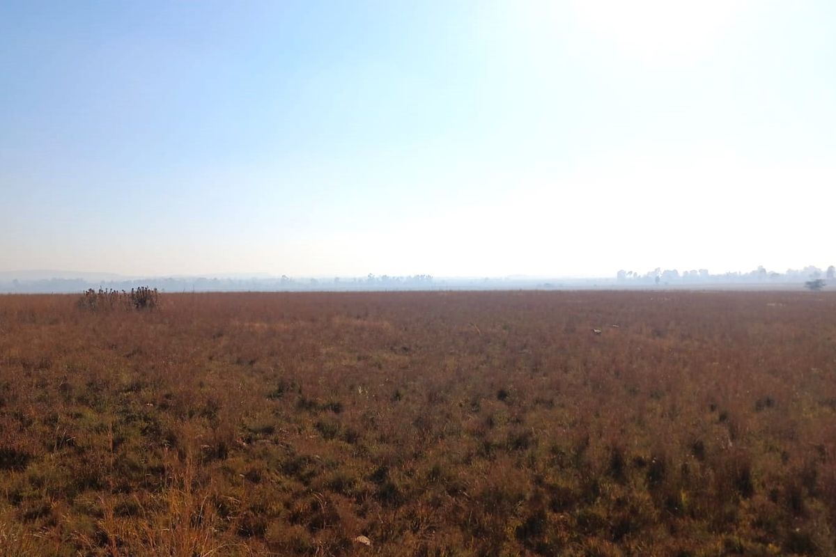 A wide, open expanse of vacant residential land featuring natural grass coverage under a clear sky.