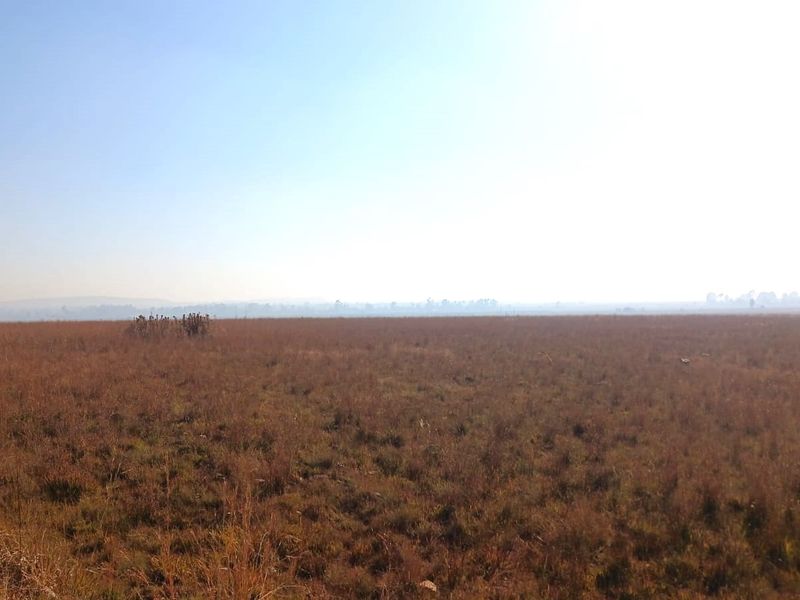 A wide, open expanse of undeveloped residential land featuring natural grass and vegetation under a clear sky.