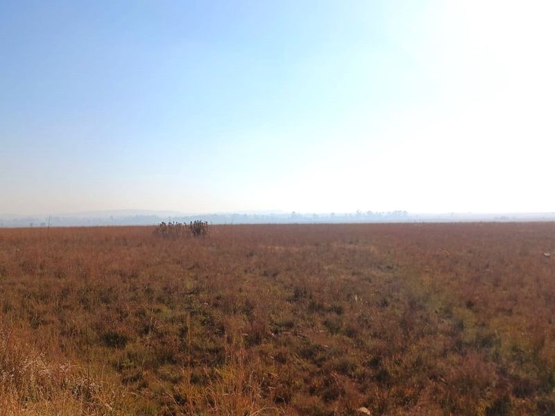 A wide, open expanse of undeveloped residential land featuring natural grass and vegetation under a clear sky.