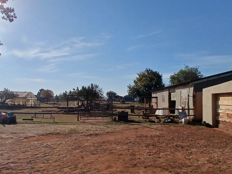 3-Bedroom Home with Workshop, Storeroom & Unfinished Granny Flat on a 2 Ha Smallholding – Tarlton - Photo 5