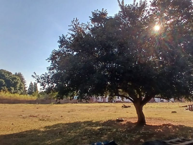 3-Bedroom Home with Workshop, Storeroom & Unfinished Granny Flat on a 2 Ha Smallholding – Tarlton - Photo 4