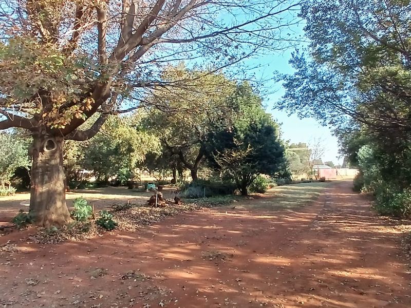 3-Bedroom Home with Workshop, Storeroom & Unfinished Granny Flat on a 2 Ha Smallholding – Tarlton - Photo 3