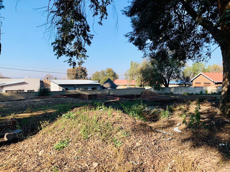 A vacant residential plot featuring mature trees, boundary walls, and uneven ground, offering a blank canvas for future development.