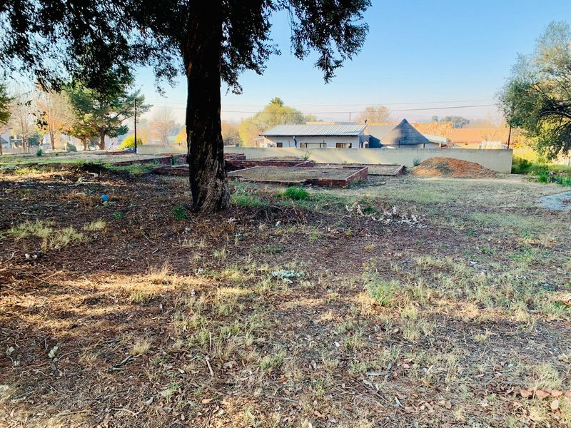 A view of a vacant residential plot featuring mature trees, a brick retaining wall, and a boundary wall, offering potential for development.