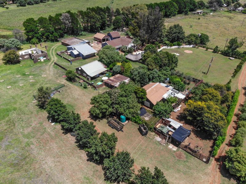Exceptional 4.9 Hectare Smallholding – Endless Potential! - Photo 7