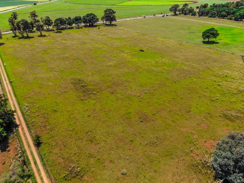 Exceptional 4.9 Hectare Smallholding – Endless Potential! - Photo 6