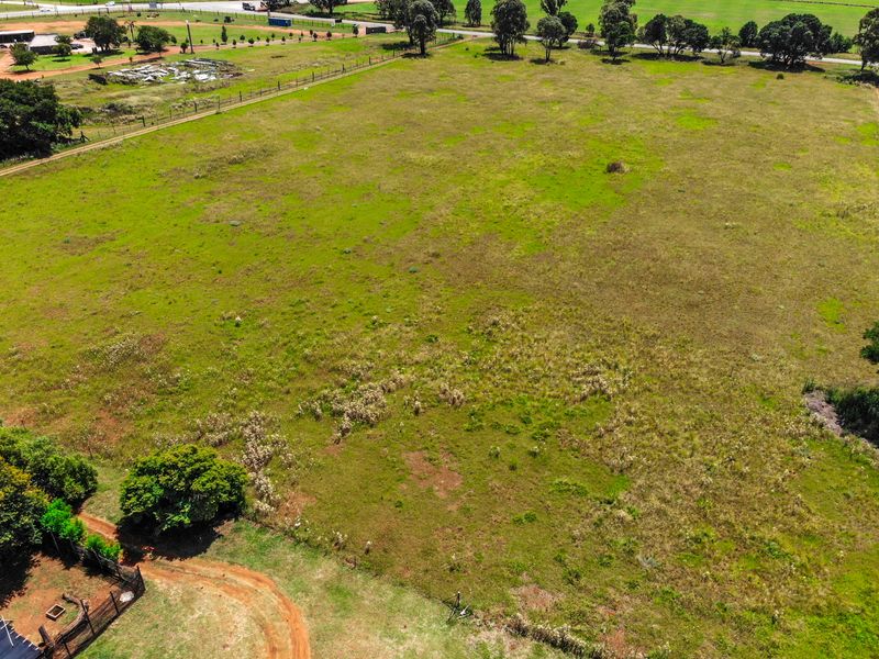 Exceptional 4.9 Hectare Smallholding – Endless Potential! - Photo 5