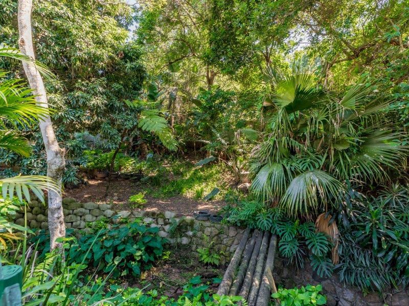 A lush, established garden featuring a stone retaining wall and a rustic wooden footbridge set amongst mature trees and dense foliage.