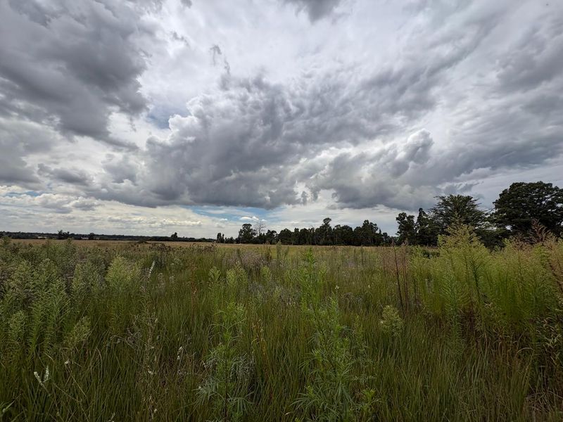 A view of an expansive, undeveloped residential plot featuring natural grass and vegetation under a cloudy sky.