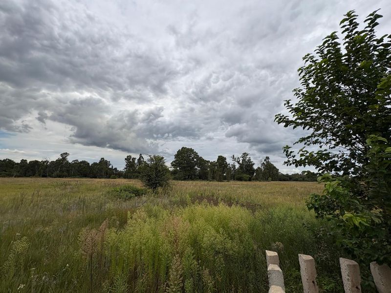 A wide-angle view of a vacant residential plot featuring natural grassland and mature trees under a cloudy sky.