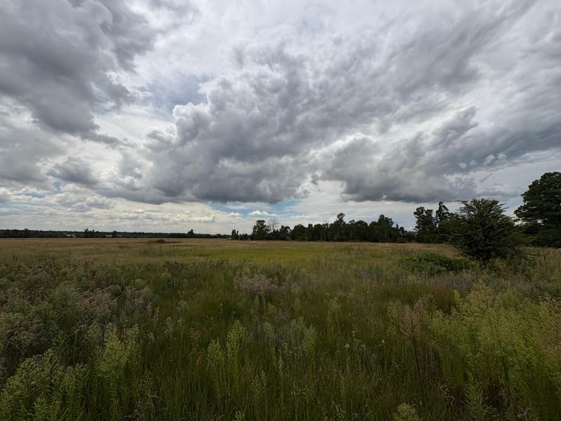 A wide-angle view of an expansive, undeveloped residential plot featuring natural grassland and mature perimeter trees under a cloudy sky.