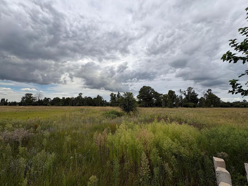 A wide-angle view of an undeveloped residential plot featuring natural grassland and mature trees under a cloudy sky.