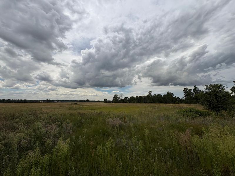 A wide-angle view of an expansive, undeveloped residential plot featuring natural grassland and mature trees under a cloudy sky.